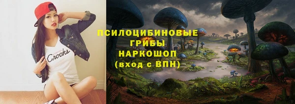 соль ск Инта