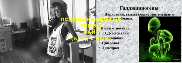 apvp Инсар