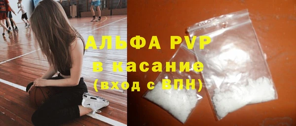 apvp Инсар