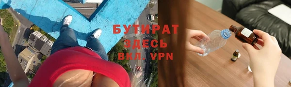 индика Каменка