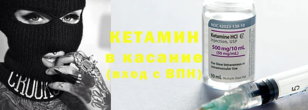 индика Каменка