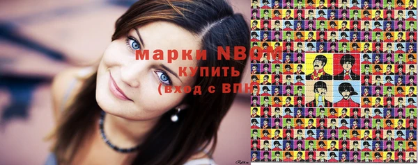apvp Инсар