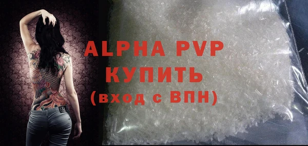 apvp Инсар