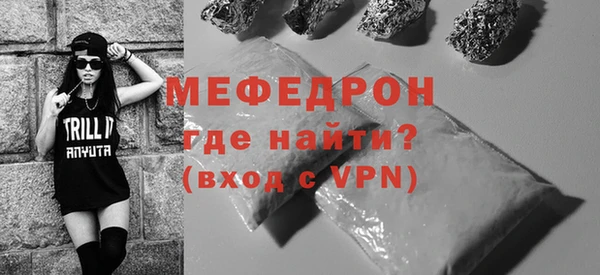 индика Каменка
