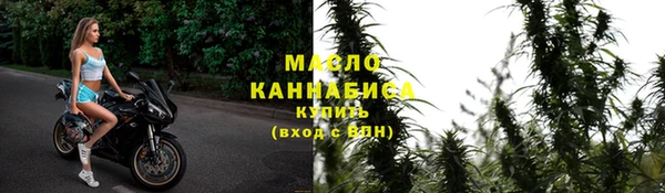 apvp Инсар
