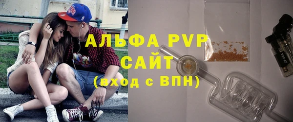 apvp Инсар