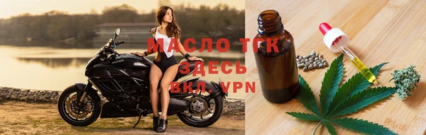 apvp Инсар