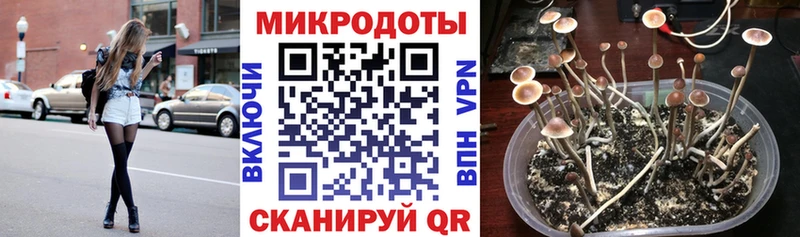 Купить закладки Гаврилов Посад Галлюциногенные грибы мухоморы